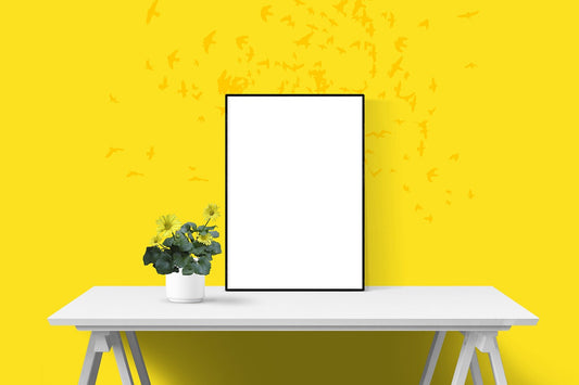 How to display a certificate